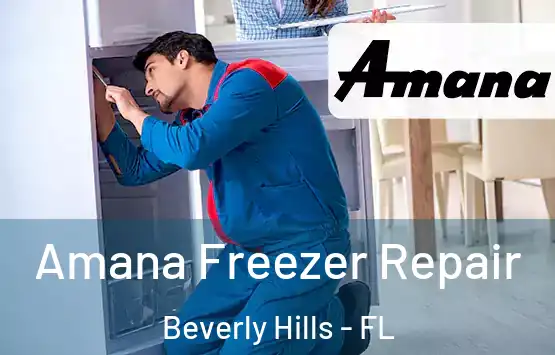  Amana Freezer Repair Beverly Hills - FL