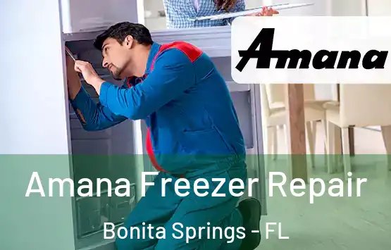  Amana Freezer Repair Bonita Springs - FL