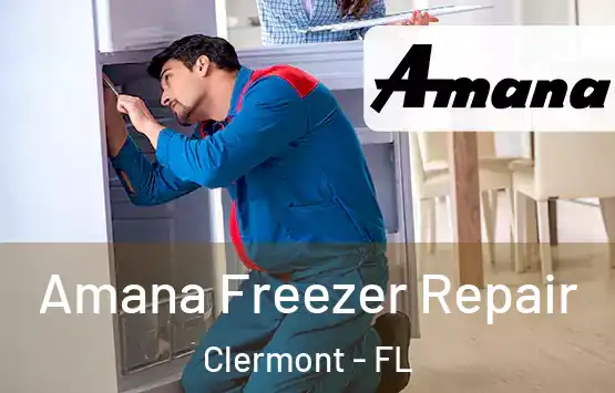  Amana Freezer Repair Clermont - FL