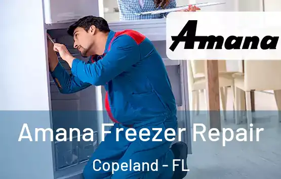  Amana Freezer Repair Copeland - FL