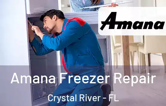  Amana Freezer Repair Crystal River - FL