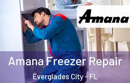  Amana Freezer Repair Everglades City - FL