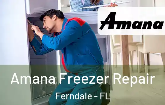  Amana Freezer Repair Ferndale - FL
