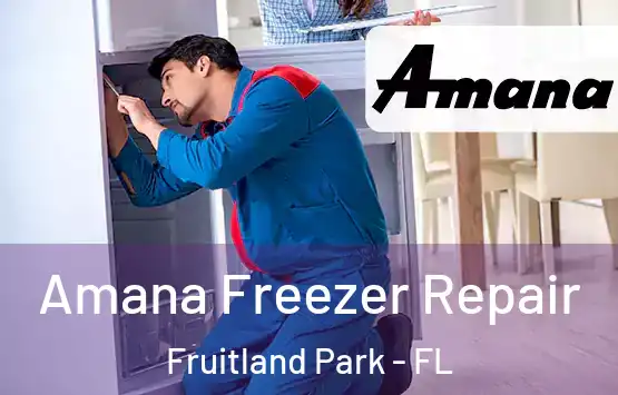  Amana Freezer Repair Fruitland Park - FL