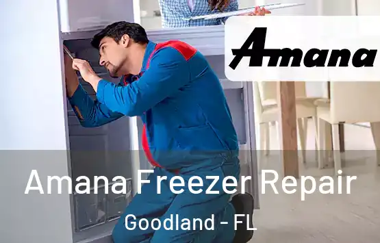  Amana Freezer Repair Goodland - FL