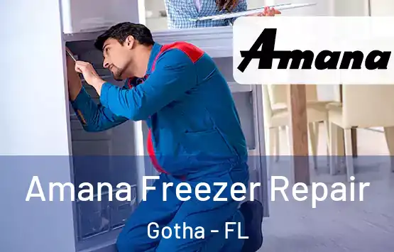  Amana Freezer Repair Gotha - FL