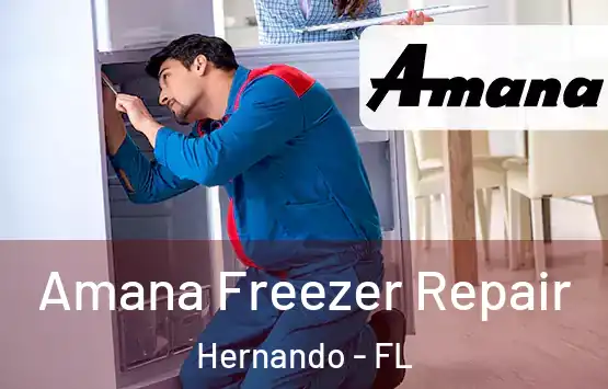  Amana Freezer Repair Hernando - FL
