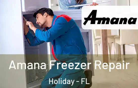  Amana Freezer Repair Holiday - FL