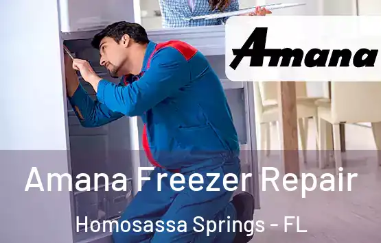  Amana Freezer Repair Homosassa Springs - FL