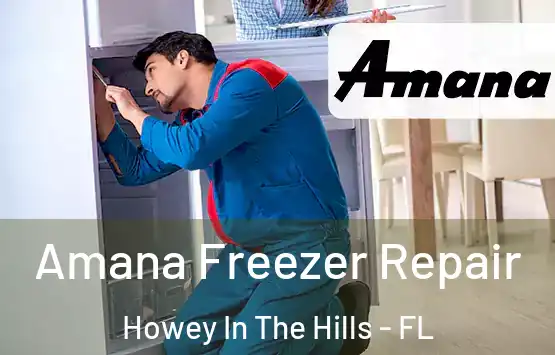  Amana Freezer Repair Howey In The Hills - FL