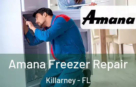  Amana Freezer Repair Killarney - FL