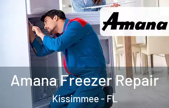  Amana Freezer Repair Kissimmee - FL