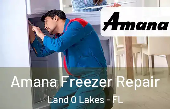  Amana Freezer Repair Land O Lakes - FL