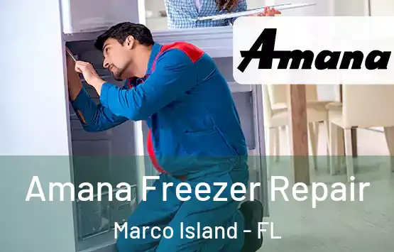  Amana Freezer Repair Marco Island - FL