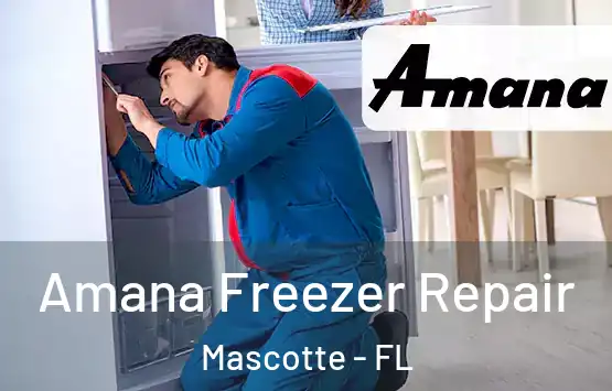  Amana Freezer Repair Mascotte - FL