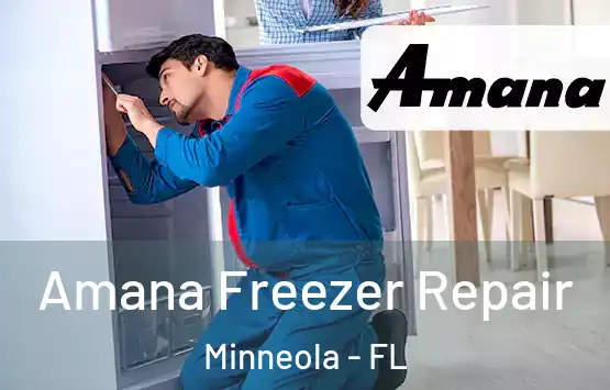  Amana Freezer Repair Minneola - FL