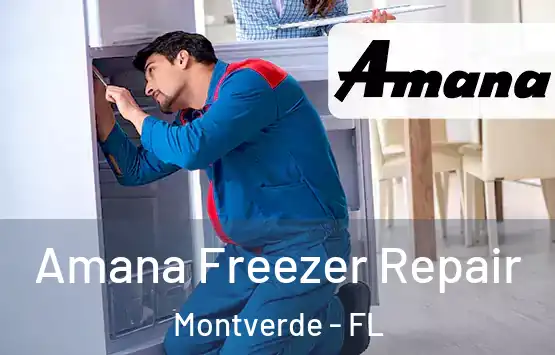  Amana Freezer Repair Montverde - FL
