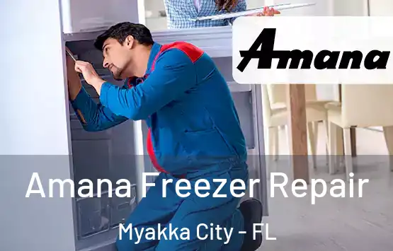  Amana Freezer Repair Myakka City - FL