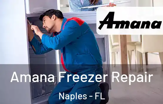 Amana Freezer Repair Naples - FL