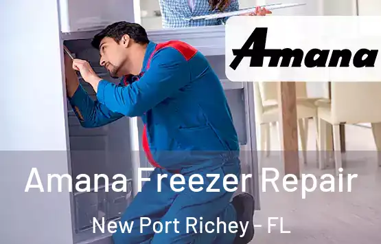  Amana Freezer Repair New Port Richey - FL