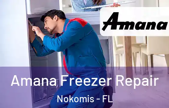  Amana Freezer Repair Nokomis - FL