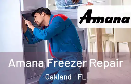  Amana Freezer Repair Oakland - FL