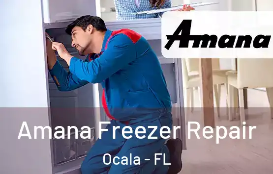  Amana Freezer Repair Ocala - FL