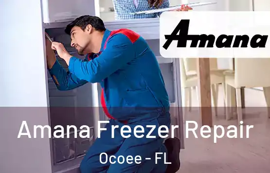  Amana Freezer Repair Ocoee - FL