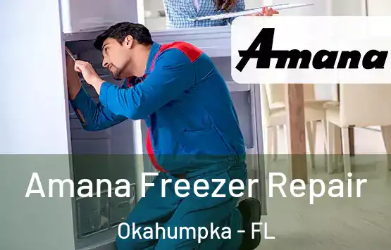  Amana Freezer Repair Okahumpka - FL