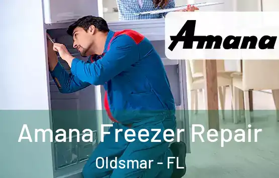  Amana Freezer Repair Oldsmar - FL