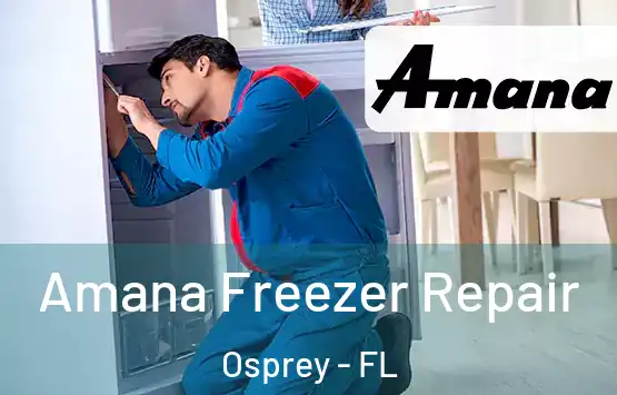  Amana Freezer Repair Osprey - FL