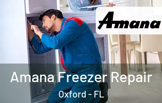  Amana Freezer Repair Oxford - FL
