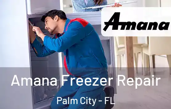  Amana Freezer Repair Palm City - FL