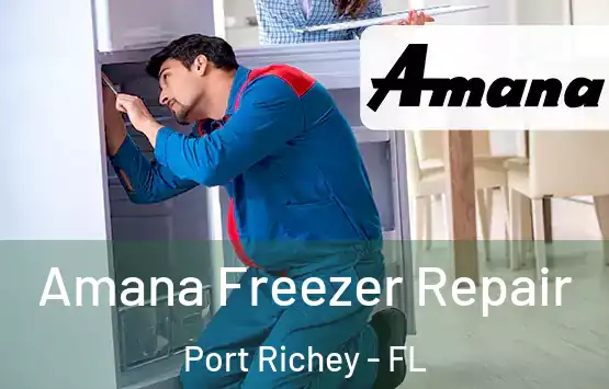  Amana Freezer Repair Port Richey - FL