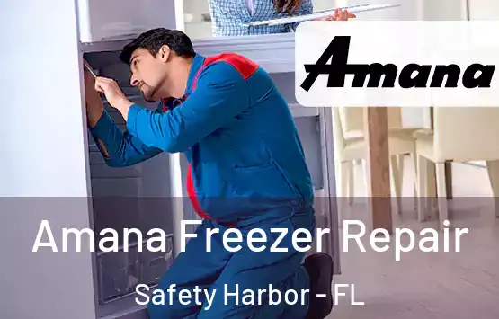  Amana Freezer Repair Safety Harbor - FL