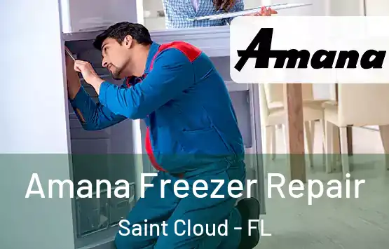  Amana Freezer Repair Saint Cloud - FL