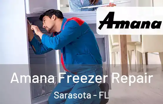  Amana Freezer Repair Sarasota - FL
