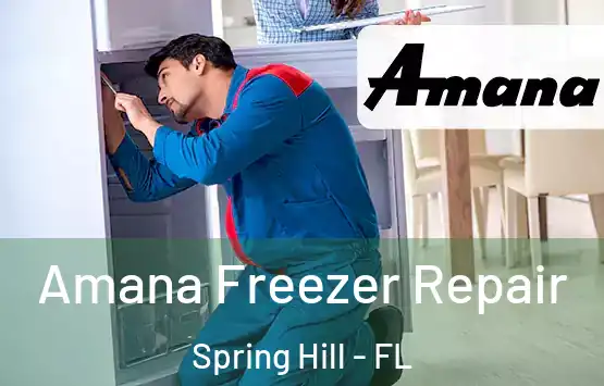  Amana Freezer Repair Spring Hill - FL