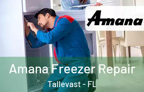  Amana Freezer Repair Tallevast - FL
