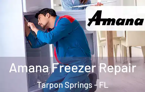  Amana Freezer Repair Tarpon Springs - FL