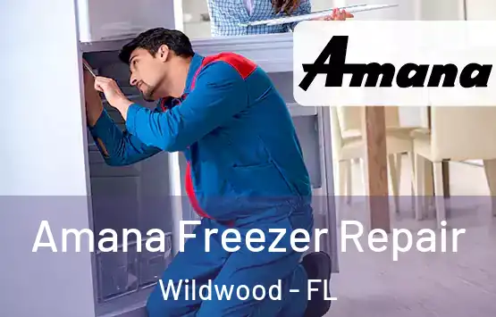  Amana Freezer Repair Wildwood - FL