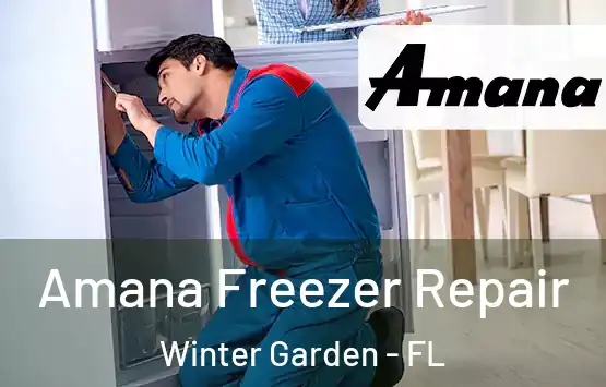  Amana Freezer Repair Winter Garden - FL