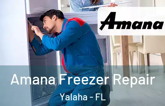  Amana Freezer Repair Yalaha - FL