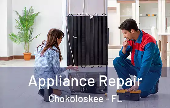  Appliance Repair Chokoloskee - FL