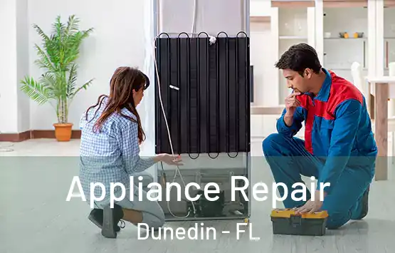  Appliance Repair Dunedin - FL