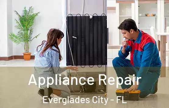  Appliance Repair Everglades City - FL