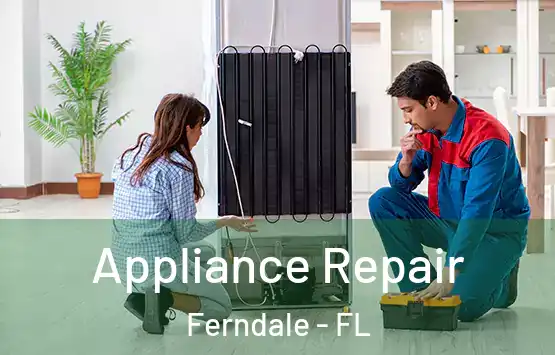  Appliance Repair Ferndale - FL