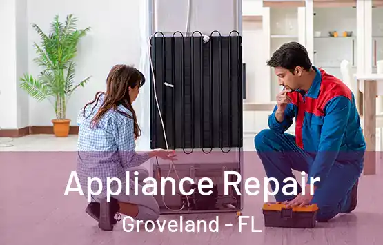  Appliance Repair Groveland - FL