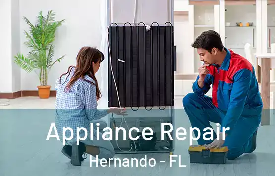  Appliance Repair Hernando - FL