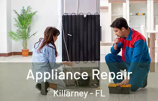  Appliance Repair Killarney - FL